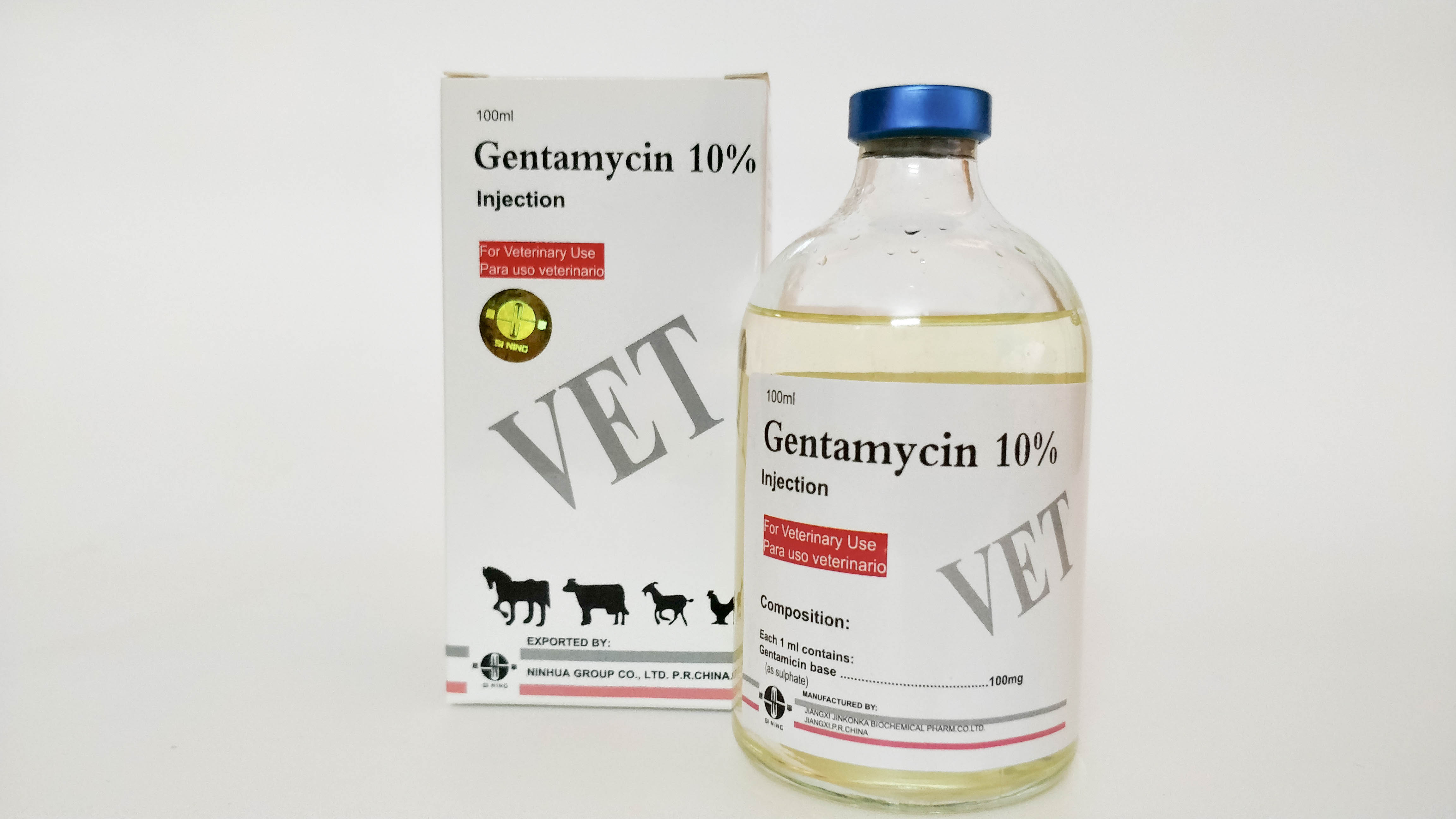 Gentamicin Injection 10 % 100 ML